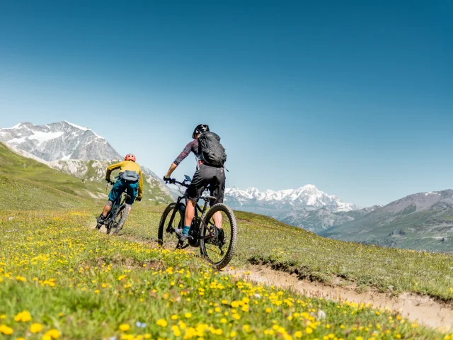 bike park; montagna; estate; bici