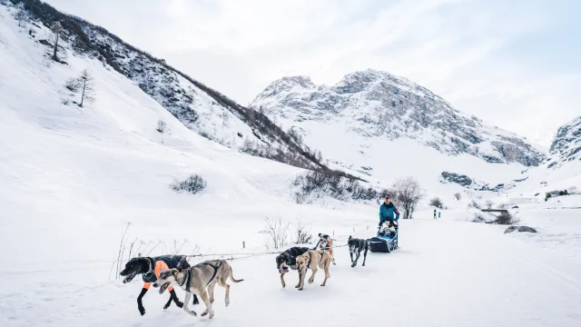 Traineau à chiens dans la vallée du Manchet à Val d'Isère