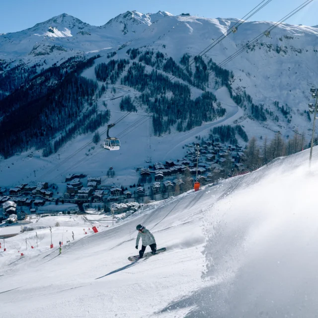 valdisere-00033604