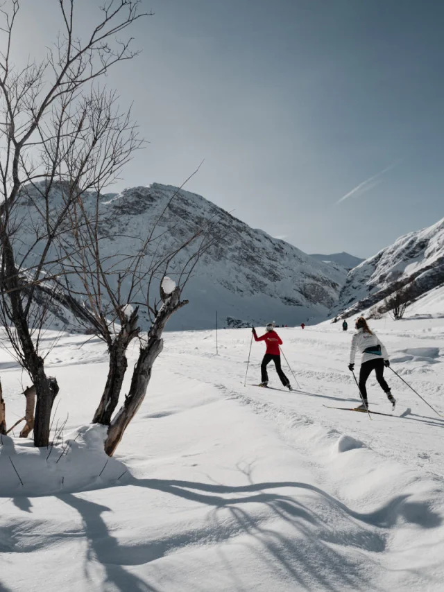 valdisere-00030602