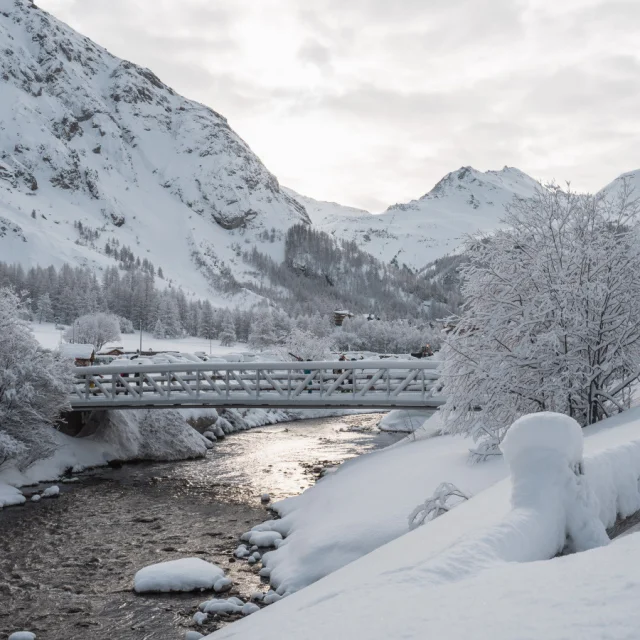 Valdisere 00030215