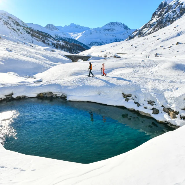 Valdisere 00035295