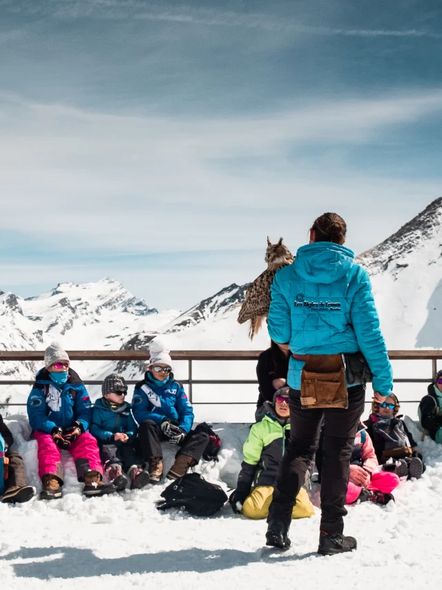 Les Aigles Du Leman at the top of Solaise in Val d'Isère